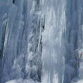 DSCI0133.JPG