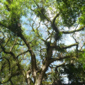20130307200017-73bdee82