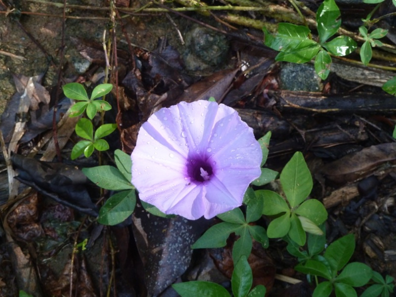 20130307200027-82bb0647.jpg