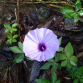 20130307200027-82bb0647