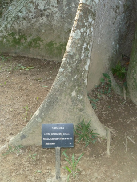 20130310092745-4e4c0702.jpg