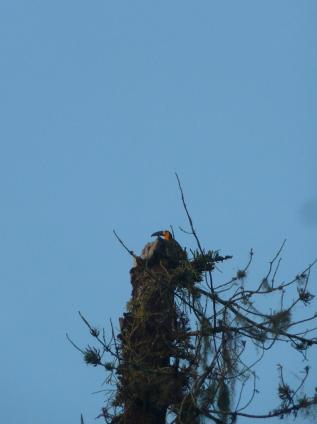 20130310092809-de814da0.jpg