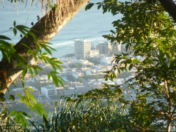 P1040466