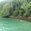P1040242
